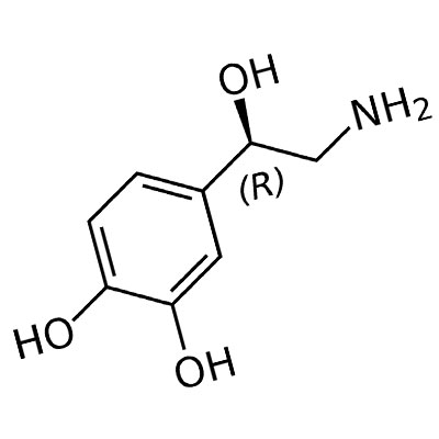 Norepinephrine