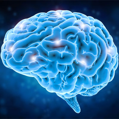 HGH Therapy for Brain Function