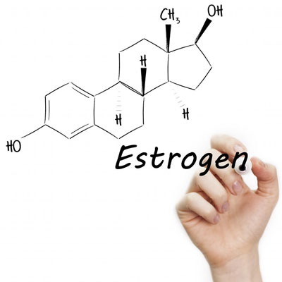 What is estrogen