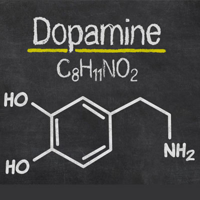 Testosterone and Dopamine Interaction