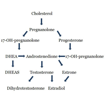 Androgens