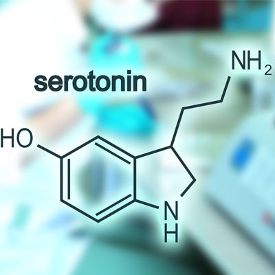 Serotonin Hormone