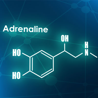 Adrenaline Hormone: What Is It, Effects and Function