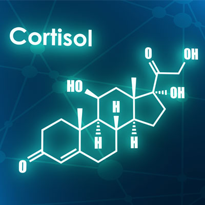 Cortisol Hormone