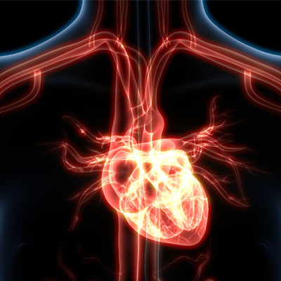 Testosterone hormone for Heart Health