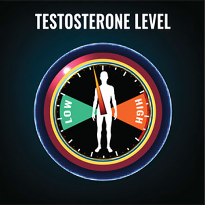 Understanding Testosterone Levels: Testosterone Levels By Age