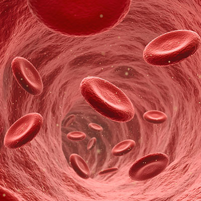 Testosterone and Red Blood Cell Production