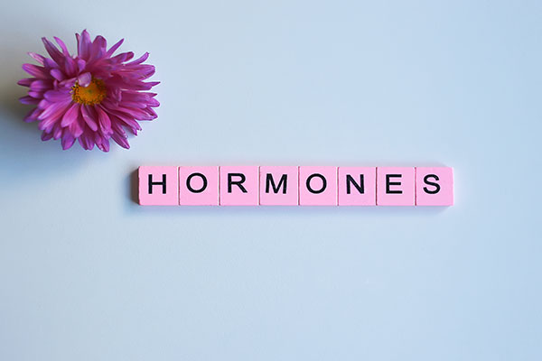 What Are the Main Female Hormones