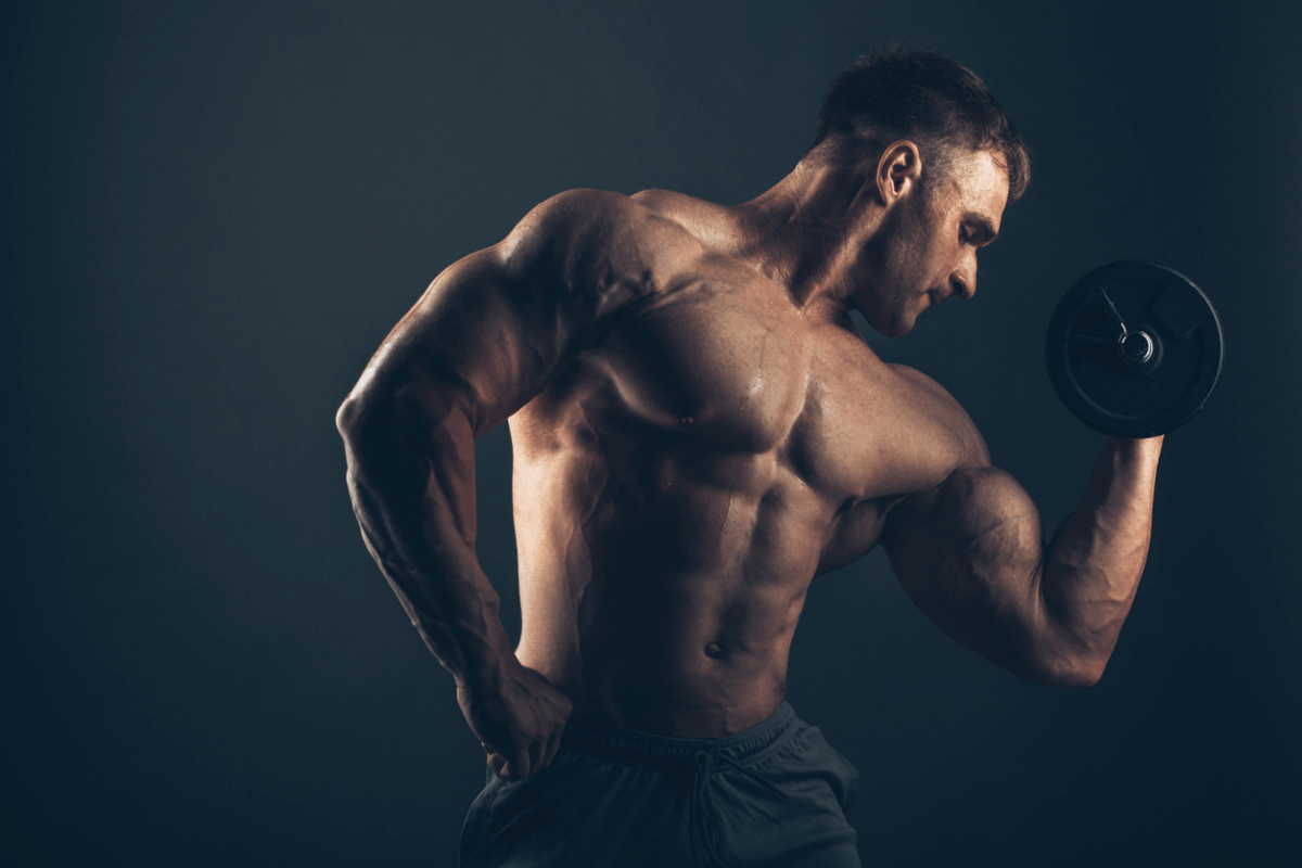 best hgh for bodybuilding