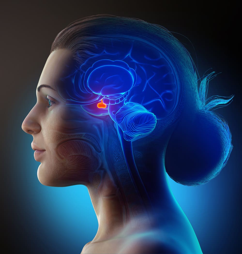 Hormonal Balance and Cognitive Health